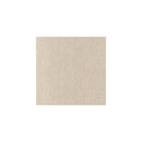 Protetor de Móveis Adesivo  Cloud Paws